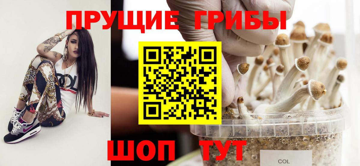 Псилоцибиновые грибы Psilocybine cubensis Карасук